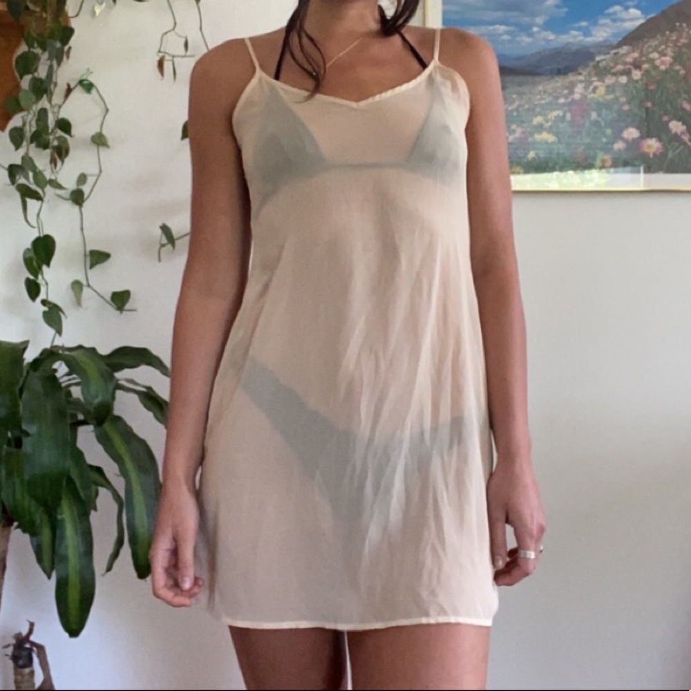 Sheer Dress Slip
